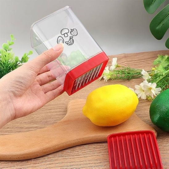 coupe frite professionnel plaque