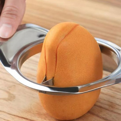 coupe frite manuel pratique