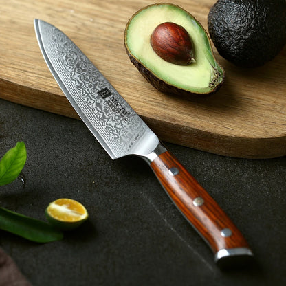 couteau japonais santoku resistant